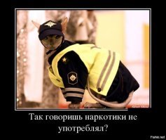 Пьяная за рулем изрубила собственную машину топором изнутри