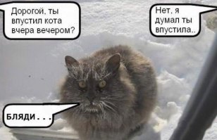 Смешные комментарии из социальных сетей