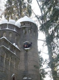 М-да, Рапунцель уже не та.