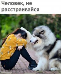 Картинки, юмор, приколы