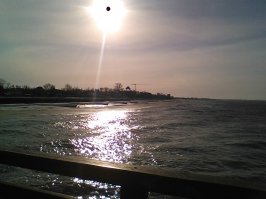 Фотка с телефона. Гуляла по морю.;)