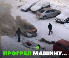 Автовсячина