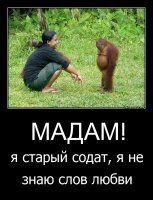 Картинки с надписями для настроения