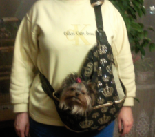 У меня мелкий катается со мной на велике в обычной багажной корзине на руле либо в специальной отстёгивающейся корзине на другом велосипеде. Пешком - куча всяких сумок разных конфигураций: обычная крытая сумка с ручками - для ветклиники, для транспорта - рюкзак, слинг, сумка через плечо, полно всяких. В машине просто пристёгиваем сзади за шлейку к замку ремня безопасности через специальную коротенькую приблуду.