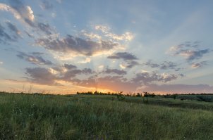 Дон летом)
