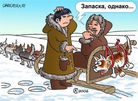 Хаски-путешественники, которые обожают прогулки