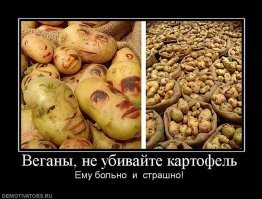 Что такое джекфрут и с чем его едят в Великобритании