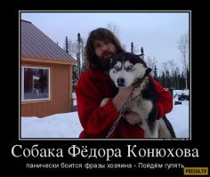 Хаски-путешественники, которые обожают прогулки