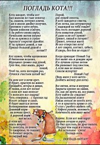 Мужчина увидел на улице умирающего котенка и не прошел мимо