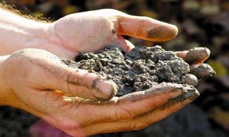 Проигравший видимо будет проталкивать свои какахи руками в дырку в полу - иначе не вижу смысла так бороться за камень