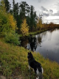 И с ними никогда не соскучишься