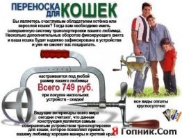 Удивительные способы перевозки и переноски  собак