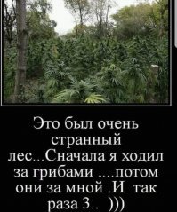 Картинки с надписями для настроения