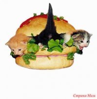 Макдак тупо украл идею у шаурматоров. Следующим шагом будут бургеры с котятами?