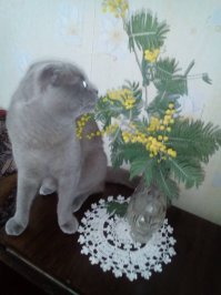 А вот наш Степашка сегодня: