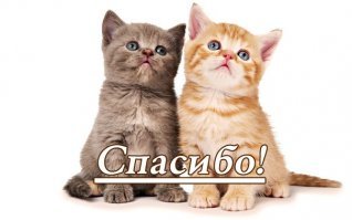 Спасибо Большое за Пост и Поздравления Дорогие наши Мужчины