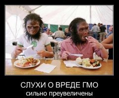 Десятка самых распространенных пищевых добавок