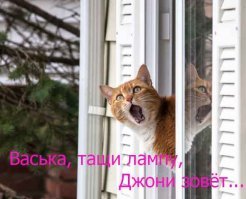 Да  это же Джони:)...