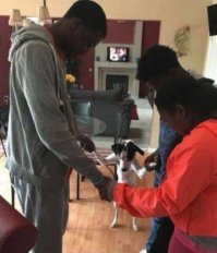 Собака тут единственная белая.