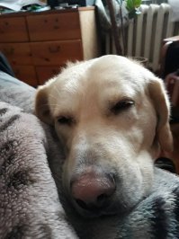 Согласен. Моё чудище:)