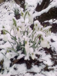 Весна в Крыму, с разницей в две недели.