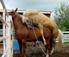 Всяко в жизни бывает