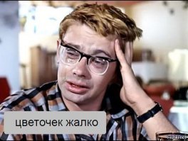 Посадил цветы в ямы на дорогах. Социальный эксперимент