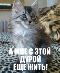 Женщина вытатуировала на теле портрет своего кота его собственной шерстью