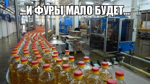 Россия - родина подсолнечного масла