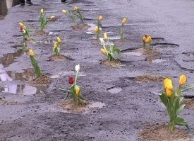 Не ново, уже очень избито, да и ямами сложно назвать. Те, кто изначально придумал насажать цветы "в дороги", действительно находили ямы. А тут так - волну популярности словить. Не словил.
