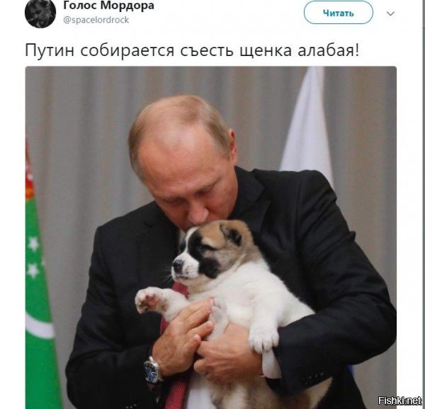 Политические коментарии соцсетей - 576