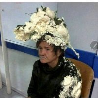 Забавные сходства