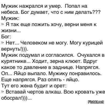 Думал я что бога нет. Анекдот про мужика и яйца. Анекдот про мужика и курицу. Анекдот про сон и курицу. Анекдоты про яйца мужчин.