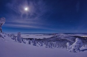 Автор фото - Артём Ковалёв