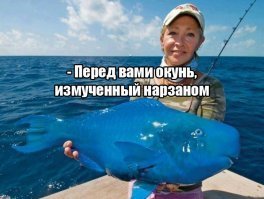 20 невероятно странных животных нашей планеты