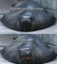 Маразм крепчал, но мы держались