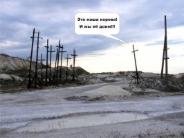 Прикольные картинки