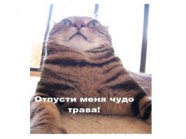 Кулачный бой: как дерутся только русские мужики