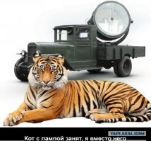 Это гениально: 18 кухонных "приемчиков"