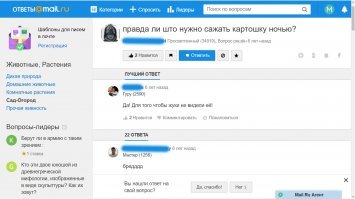 Колорадский жук