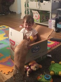 Глядя на эти фото, вы поймете, что ребенку нужна собака!