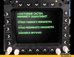 Вот самая грустная кошка на свете