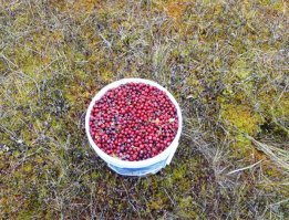 Как снимали трилогию «Любить по-русски»