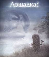 Ежи и интересные факты о них