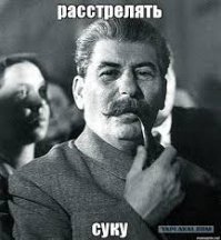 Девушка довела лисенка до полусмерти, сделав из него вегана