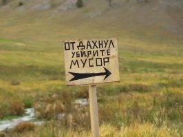 ...вот этой табличкой,некоторых особей человеческого вида, надо забивать наглухо!!!