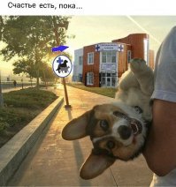 Картинки с надписями для настроения