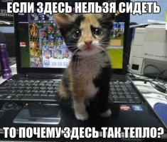Свежая подборка демотиваторов, которые поднимут вам настроение