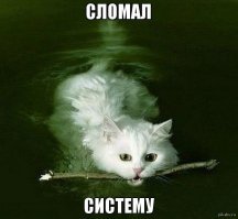 Собака воспитала почти 100 котят после того, как потеряла лучшую подругу-кошку