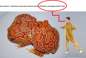 20 невероятно странных животных нашей планеты